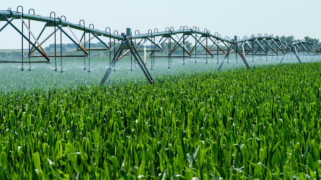 Commercial agricultural irrigation system watering a field